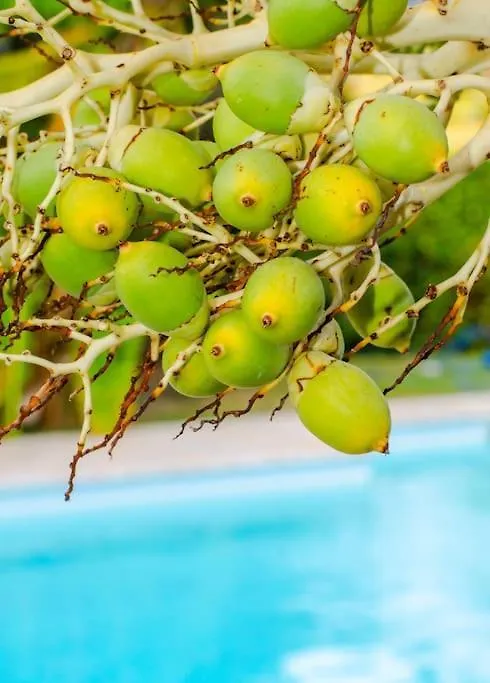 Mora Mora, Villa Creole Avec Piscine & Jardin Le Vauclin